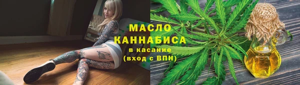 индика Балахна