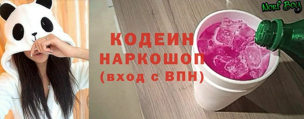 индика Балахна