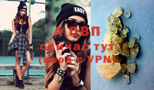 индика Балахна