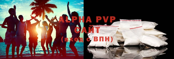индика Балахна