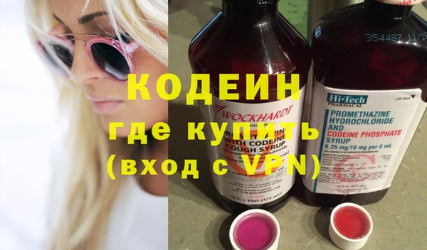 индика Балахна