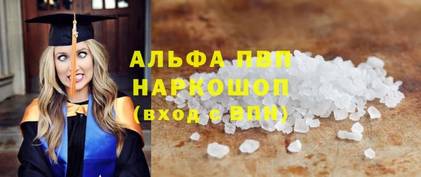 индика Балахна