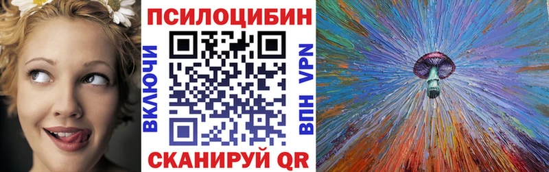 Галлюциногенные грибы Psilocybe  Лениногорск 